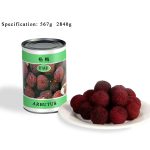 CF07 KKZ Canned Arbutus in Syrup 6*2840G-24months