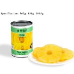 CF10 KKZ Canned Pineapples Slices in Syrup 6*3005G-24months