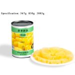 CF12 KKZ Canned Pineapples Pieces In Syrup 6*3005G-24months -