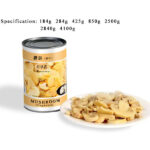 CM02 KKZ Canned Champignon Mushrooms Pieces & Stems 6*4100G-36months -