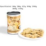 CM03 KKZ Canned Champignon Mushrooms Slices 6*4100G-36months -