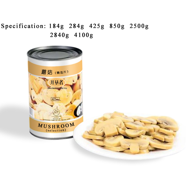 CM03 KKZ Canned Champignon Mushrooms Slices 6*4100G-36months