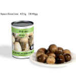 CM04 KKZ Canned Straw Mushrooms Whole 6*2840G-36months -