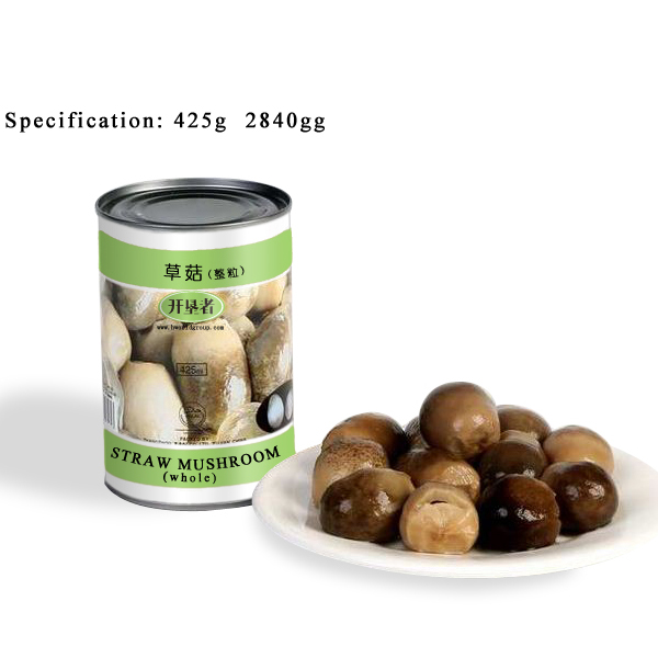 CM04 KKZ Canned Straw Mushrooms Whole 6*2840G-36months