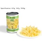 CV08 KKZ Canned Bamboo Shoots Strips 6*2950G-36months -