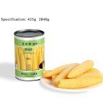 CV13 KKZ Canned Baby Corn Whole 6*2840G-36months -