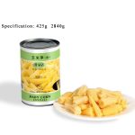 CV14 KKZ Canned Baby Corn Cuts 6*2840G-36months -