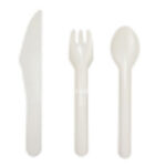 DT04 Bagasse Spoon Fork Knife -