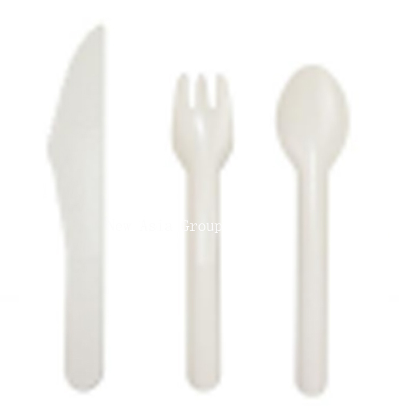 DT04 Bagasse Spoon Fork Knife