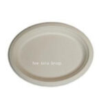 DT16 Oval Plate 10/12inch 50pcs*10bag /ctn -