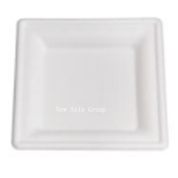 DT17 Square Plate 6inch 50pcs*20bag /ctn