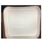 DT31 4 Compartment Box Lid 50pcs*10bag /ctn -