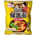 N45 Broad Noodle Artificial Beef Flavor Hot Pot 20*110G-12months -